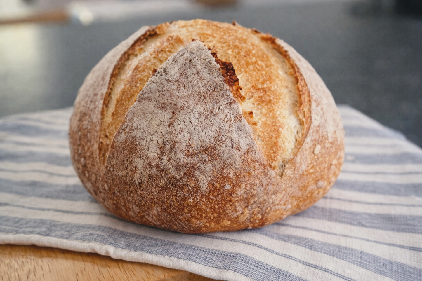 Sourdough Boule